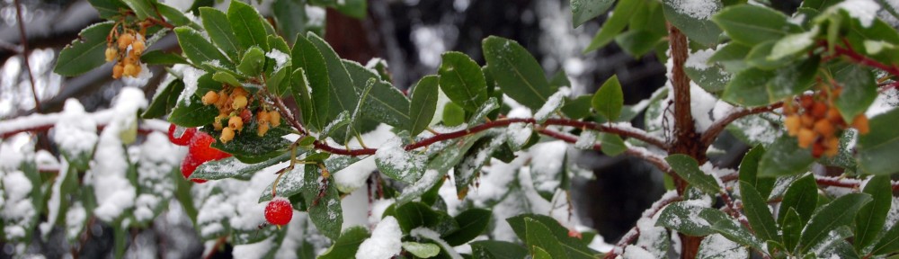 The Other Side of Risk