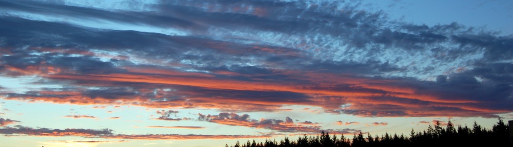 The Other Side of Risk