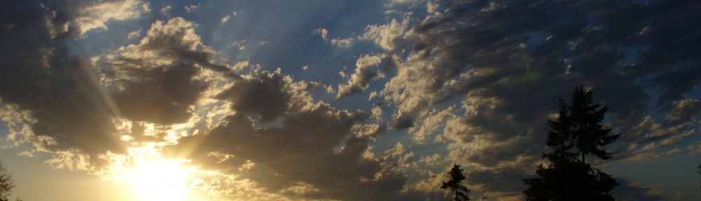 The Other Side of Risk