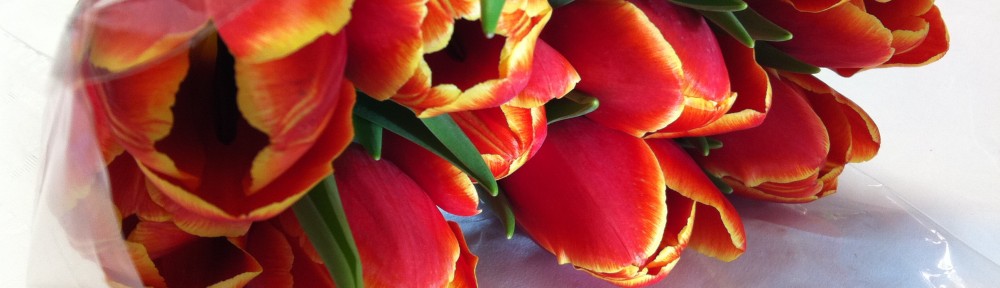 The Other Side of Risk