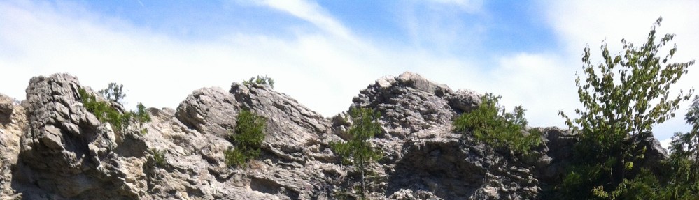 The Other Side of Risk